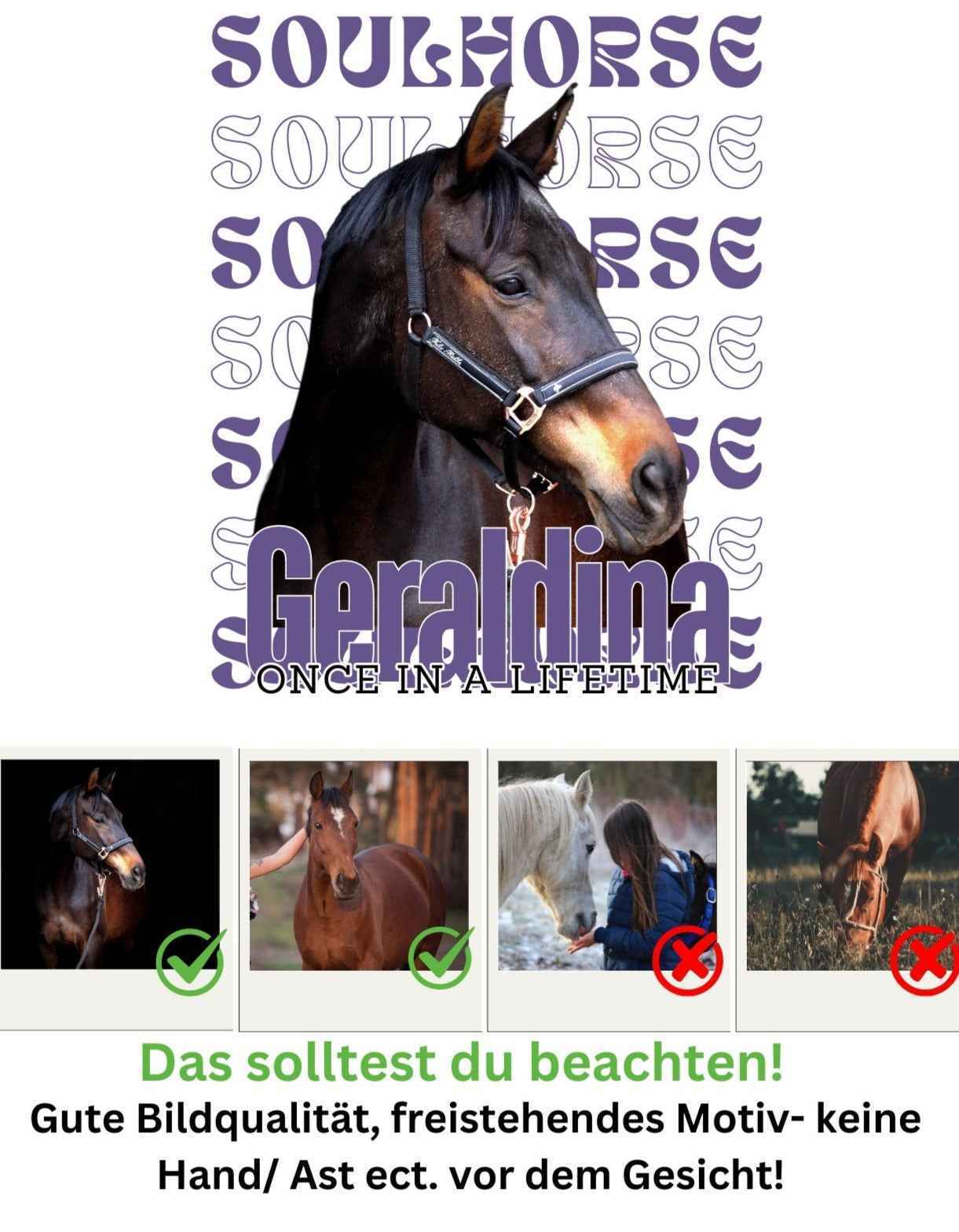 Soulhorse, personalisierter Pferde Hoodie Unisex