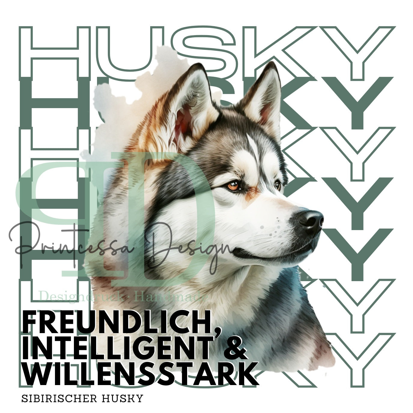 Aquarell Motiv Husky, der Sibirische Husky im Rasseportrait.