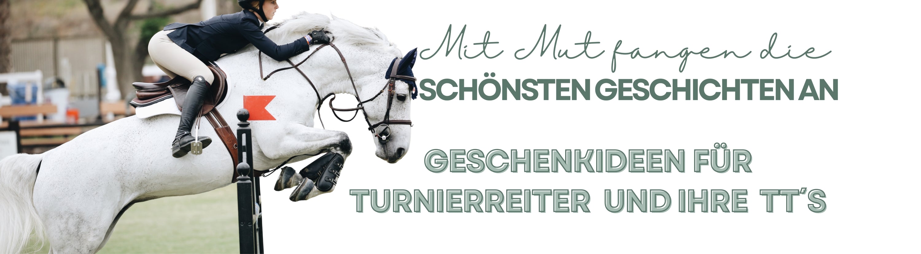 Kollektion für Turnierreiter und ihre TT´s. Geschenke für euer nächstes Reitturnier- T-Shirt, Hoodies und Tassen mit tollen Pferdemotiven, speziell für Turnierreiter.