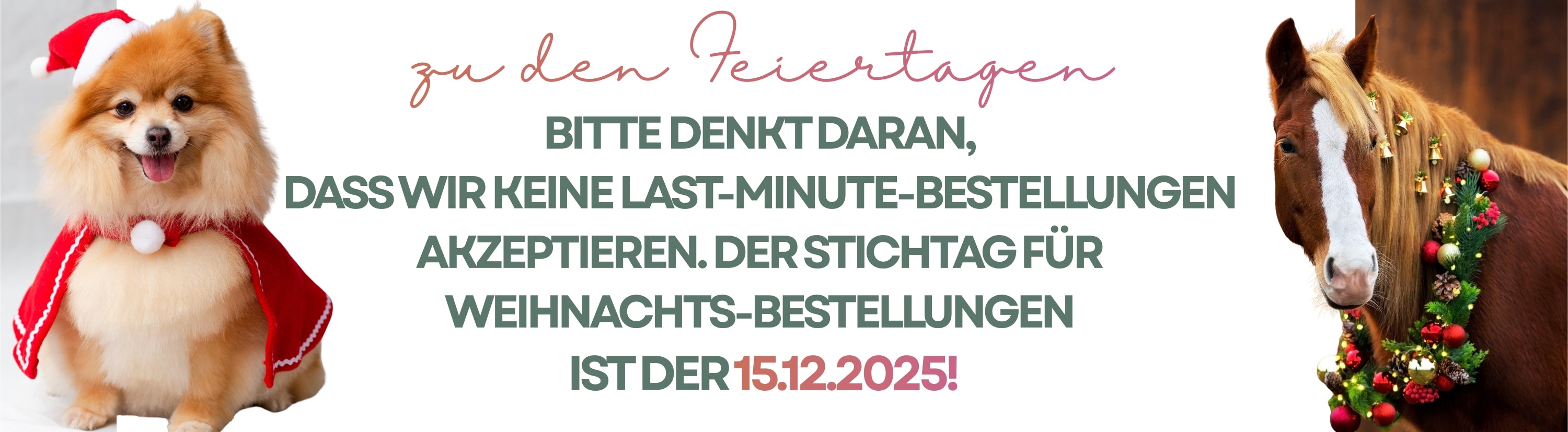 Information zu den Feiertage, Bestellfristen bitte beachten